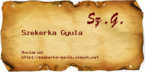 Szekerka Gyula névjegykártya